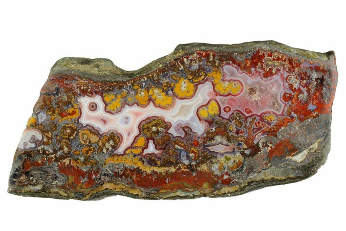 Polished Cruentus Agate Slice - Kerrouchen, Morocco #187134